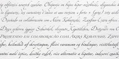 Font visual image of Zapfino&reg Extra